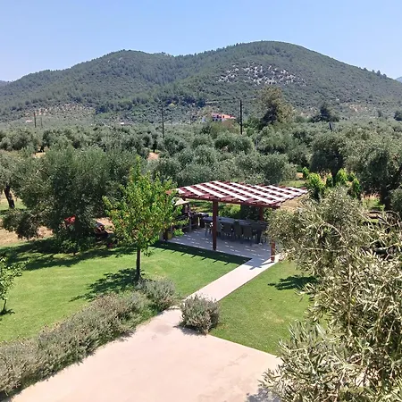 Hotel Anatoli *