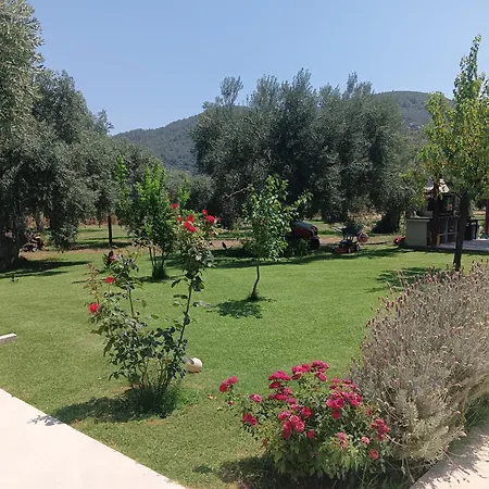 Anatoli Skala Rachoni (Thasos)