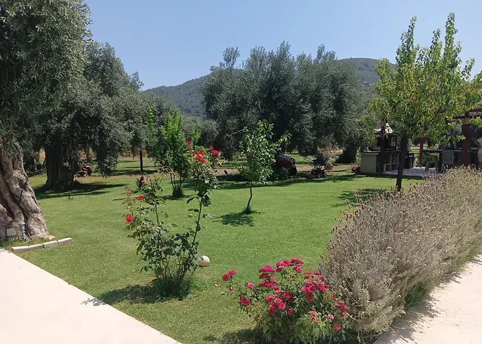 Anatoli Skala Rachoni (Thasos)